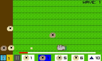 Image 0 for Bagels vs. Cats