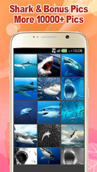 Imagen 1 para Shark Wallpaper