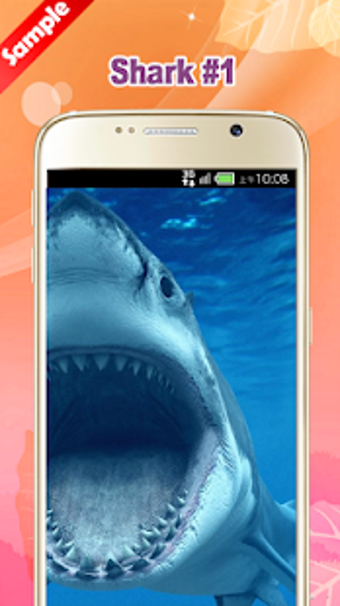 Imagen 2 para Shark Wallpaper