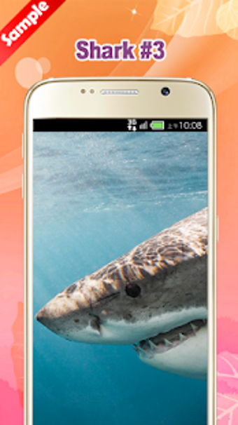 Imagen 0 para Shark Wallpaper