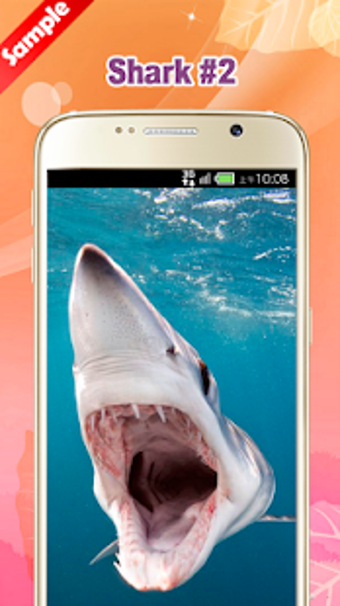 Imagen 3 para Shark Wallpaper