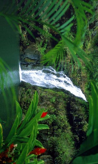 Image 2 for 3D Waterfall HD Wallpaper
