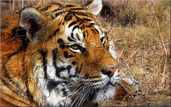Image 0 for Extreme Tiger Puzzle