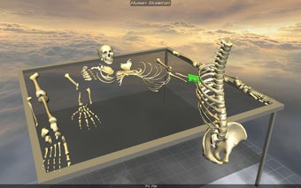 Imagen 0 para Body Disassembly 3D