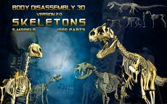 Imagen 2 para Body Disassembly 3D