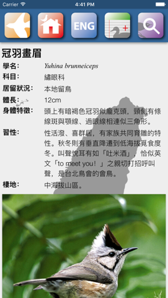 Image 3 for Taiwan Birds