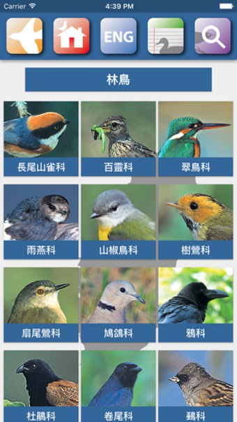 Image 1 for Taiwan Birds