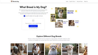 Imagen 0 para Breed.dog