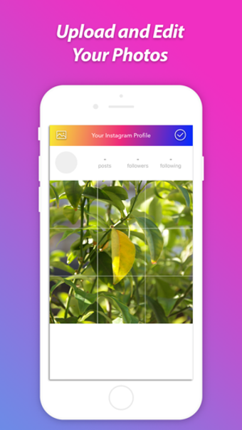 Image 2 for Grid Photo Split for Inst…