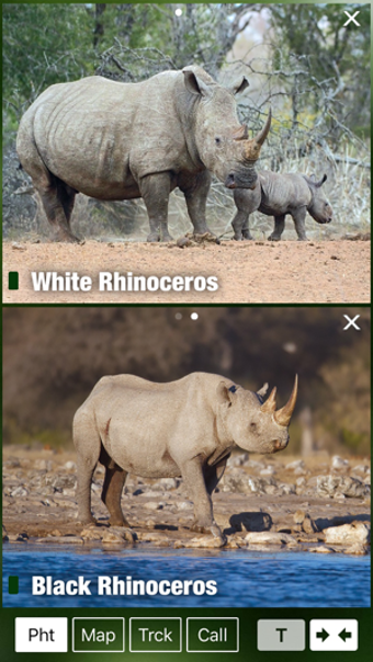 Image 1 for Mammal Guide of Southern …
