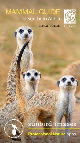 Image 3 for Mammal Guide of Southern …