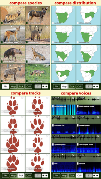 Image 1 for Mammal Guide of Southern …