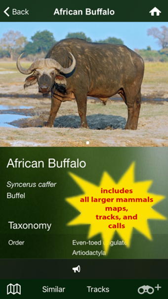 Image 0 for Mammal Guide of Southern …