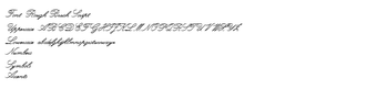 Image 0 for Rough Brush Script
