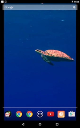 Image 1 for Sea Turtles Video Wallpap…