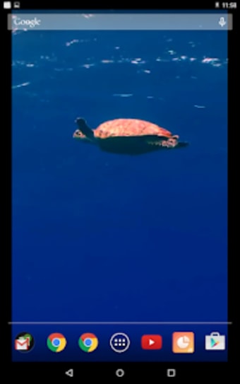 Image 2 for Sea Turtles Video Wallpap…