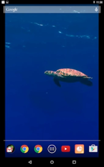 Image 0 for Sea Turtles Video Wallpap…