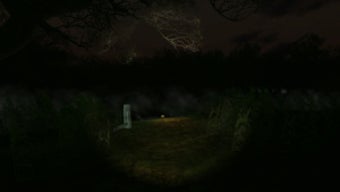 Image 1 for Swamp Sim Horror