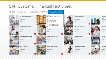 Imagen 0 para SAP Customer Financial Fa…
