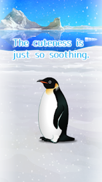 Imagen 3 para Penguin Pet