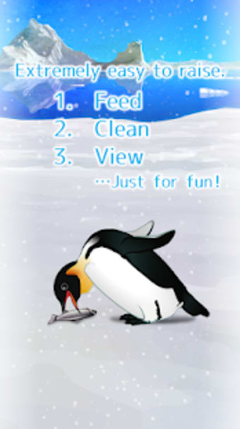 Image 2 for Penguin Pet