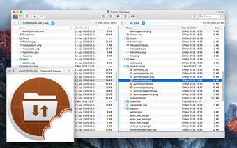 Imagen 1 para Yummy FTP Lite