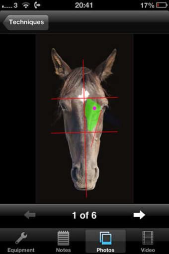 Image 0 for Equine Techniques