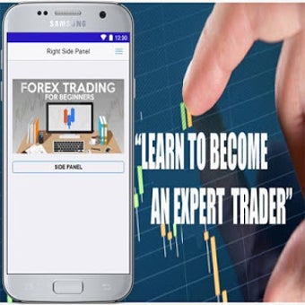 Image 3 for Forex Trading Beginner's …