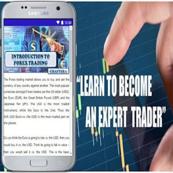 Image 2 for Forex Trading Beginner's …