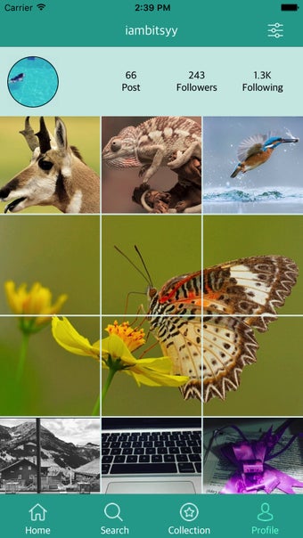 Imagen 2 para StoryBook Viewer For Inst…