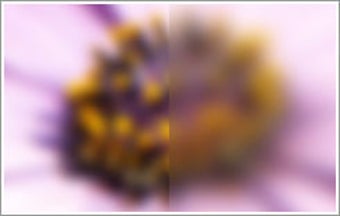 Image 1 for GeniuX ART