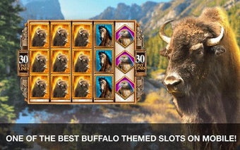 Image 3 for Golden Buffalo Slots