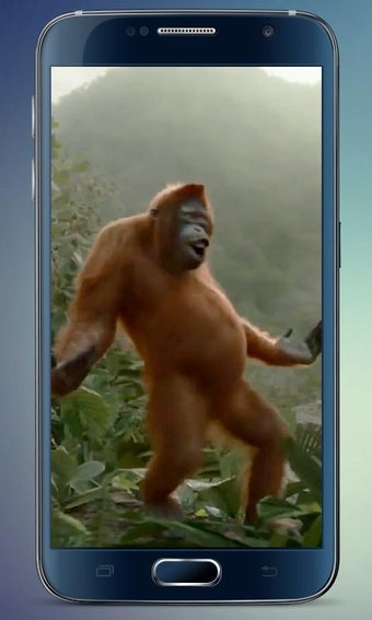Image 0 for Wild Dance Crazy Monkey L…
