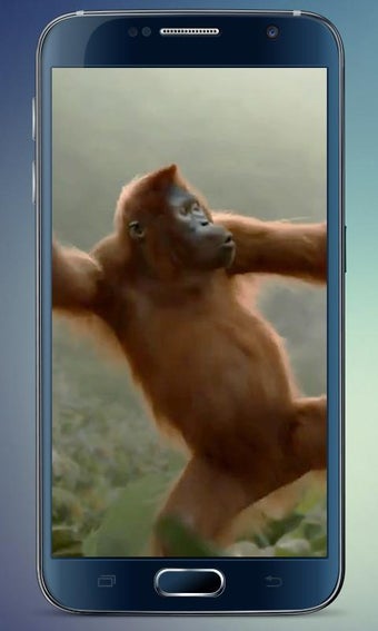 Image 1 for Wild Dance Crazy Monkey L…