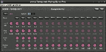 Image 0 for Flying Echo Pro