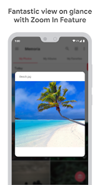Imagen 3 para Memoria Photo Gallery Pro