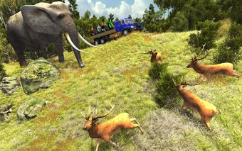 Image 0 for Wildlife Animal Safari