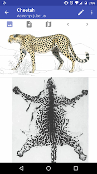 Image 0 for Mammals of the Southern A…
