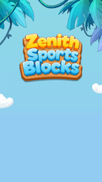 Image 0 for Zenith Sports Blocks