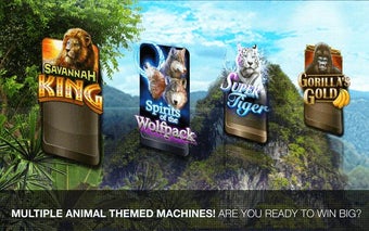 Imagen 3 para Wild Casino Slots