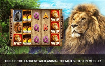 Imagen 0 para Wild Casino Slots