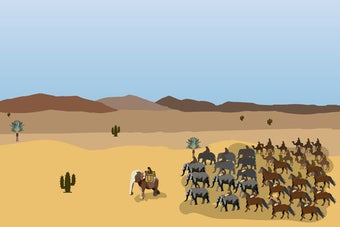 Imagen 1 para Year of the Elephant