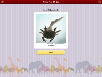 Image 0 for Animal Face-Off Quiz