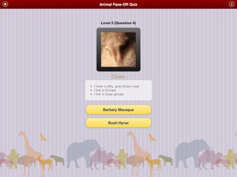 Image 5 for Animal Face-Off Quiz