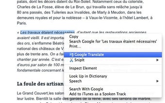 Image 0 for Google Translate for Chro…