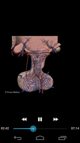 Imagen 2 para NEUROANATOMY - Digital At…