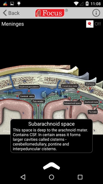 Imagen 0 para NEUROANATOMY - Digital At…