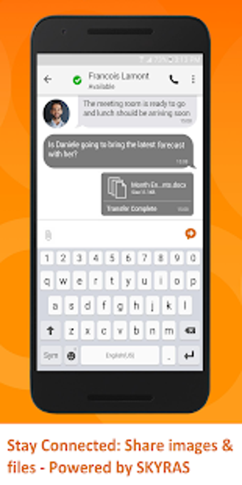 Image 3 for SIPSKY : FREE VoIP Busine…