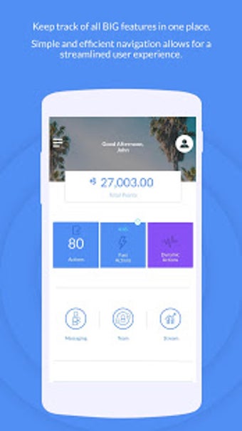 Imagen 1 para BIGtoken