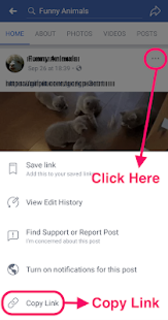 Imagen 0 para HD Video Downloader for F…